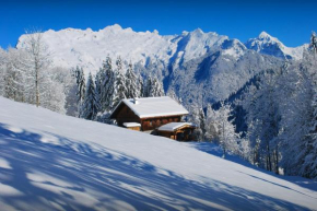 Chalet Les Pellys - OVO Network
